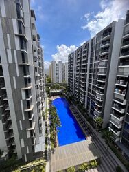 La Fiesta (D19), Condominium #409475451
